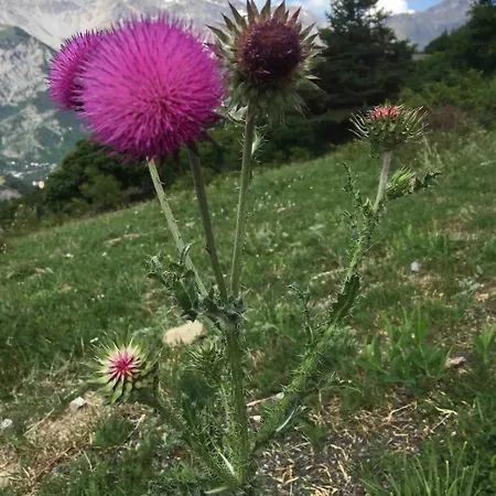 Bilocale In Borgo Antico